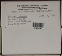 Image Associated With the Occurence